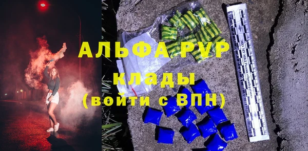 хмурый Абаза