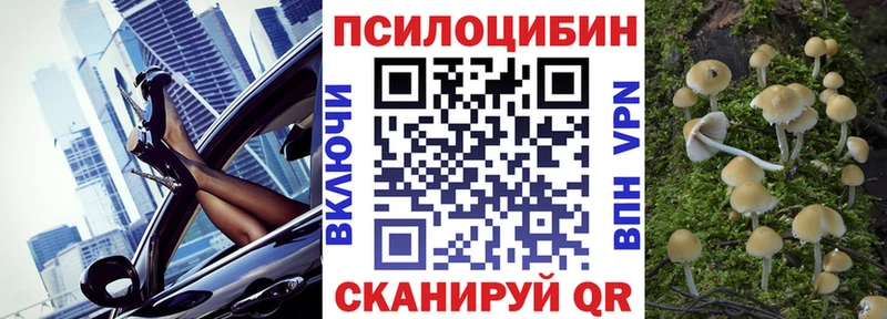 купить наркоту  Кандалакша  Псилоцибиновые грибы Cubensis 